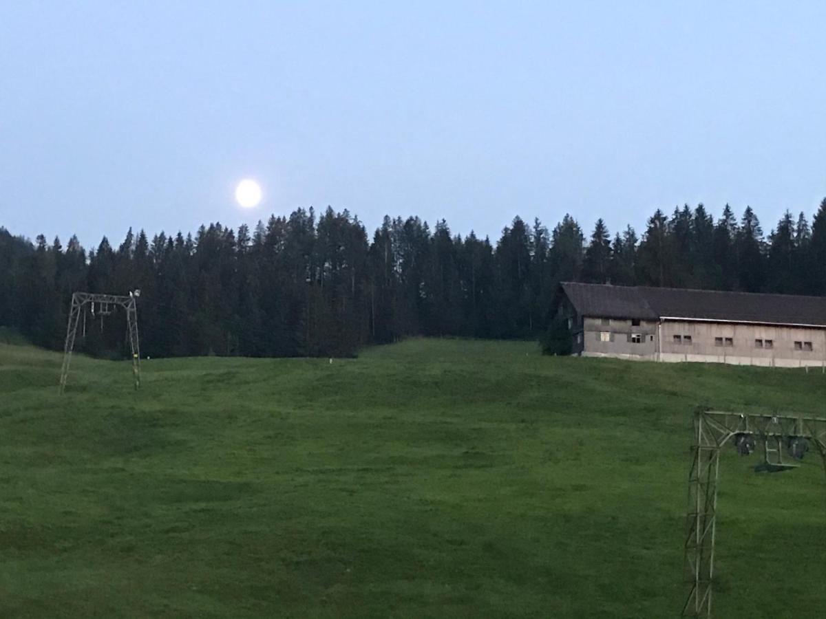 Kleine Ferienwohnung Am Rande Der Wildnis Sibratsgfäll Dış mekan fotoğraf