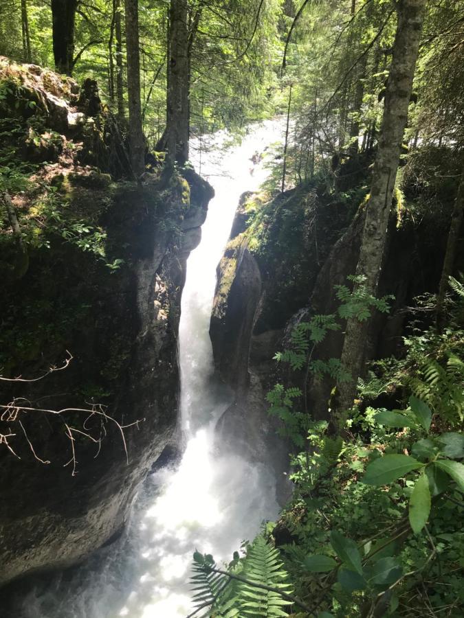 Kleine Ferienwohnung Am Rande Der Wildnis Sibratsgfäll Dış mekan fotoğraf